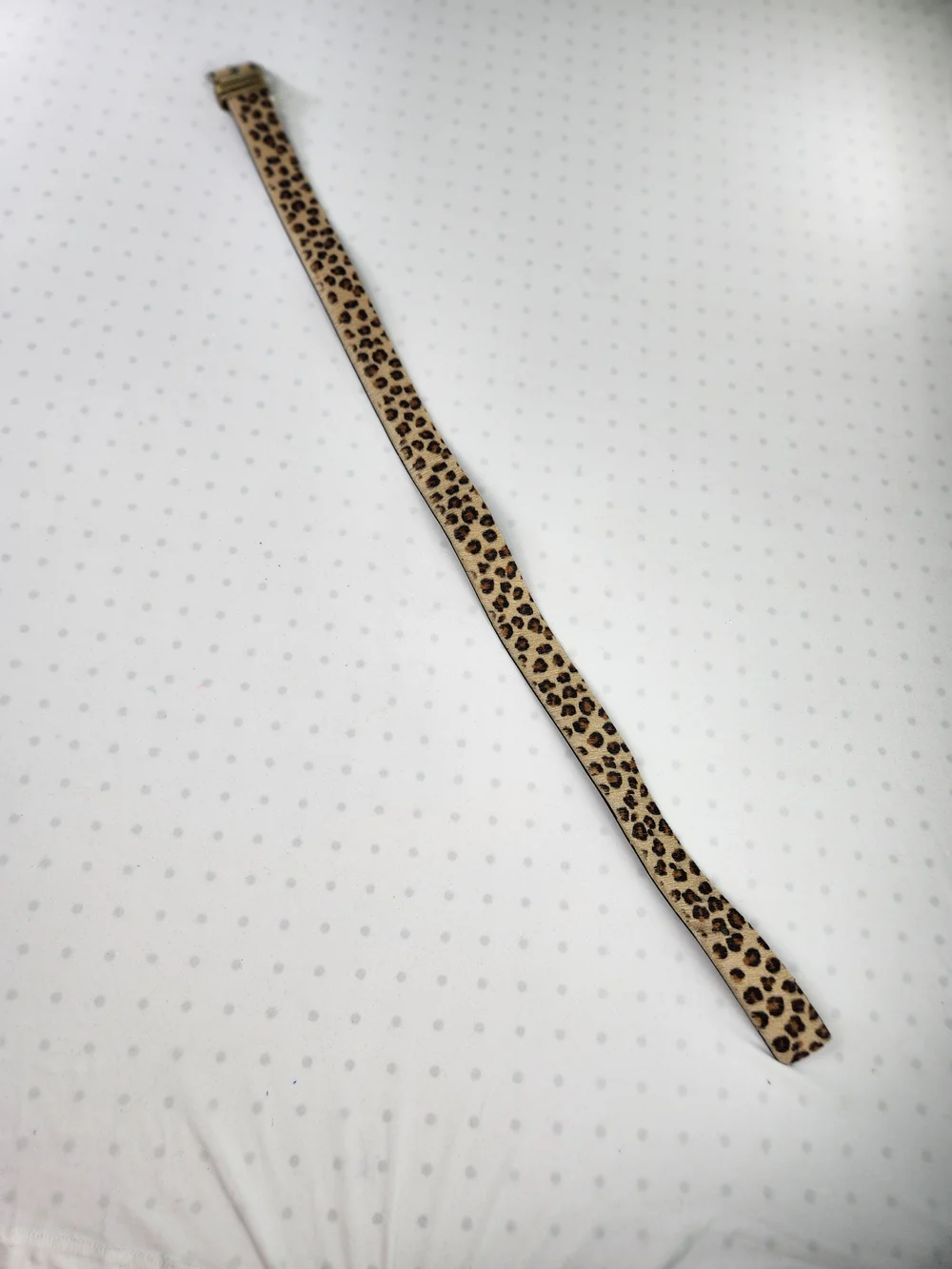 Express Leopard Print Genuine Leather Belt Womens Small Vgt